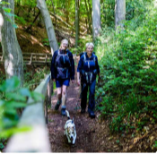To kvinder ude og gå i en skov med sin hund